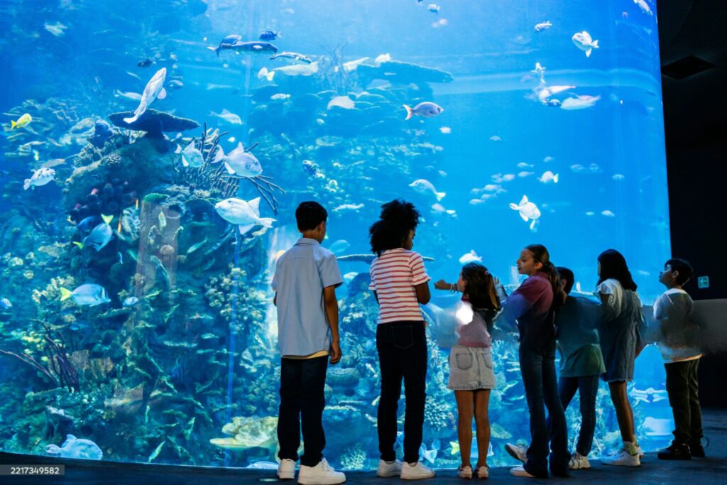 istockphoto-2217349582-2048x2048